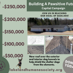 “Building a Pawsitive Future”- Shelter Revitalization