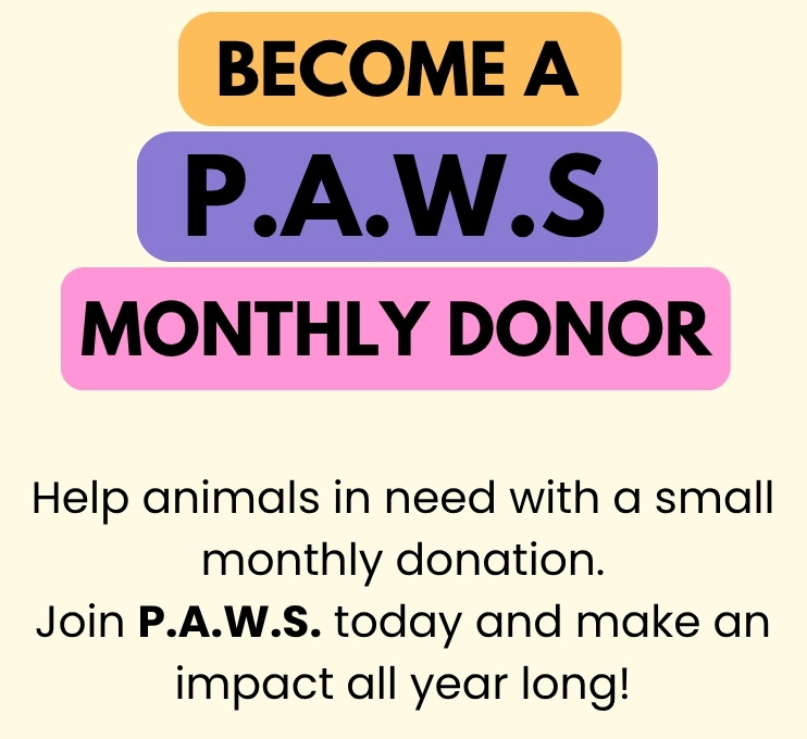 Become a PAWS Monthly Donor